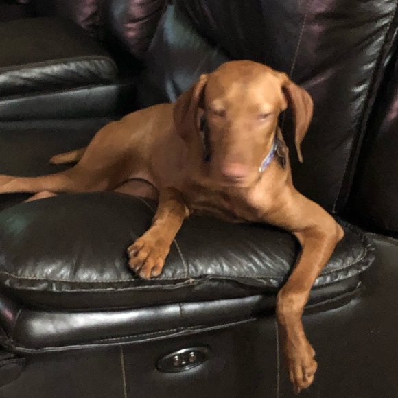 Meet your Posher, Robert - Picture 6 of 12